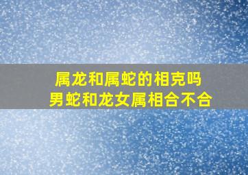 属龙和属蛇的相克吗 男蛇和龙女属相合不合